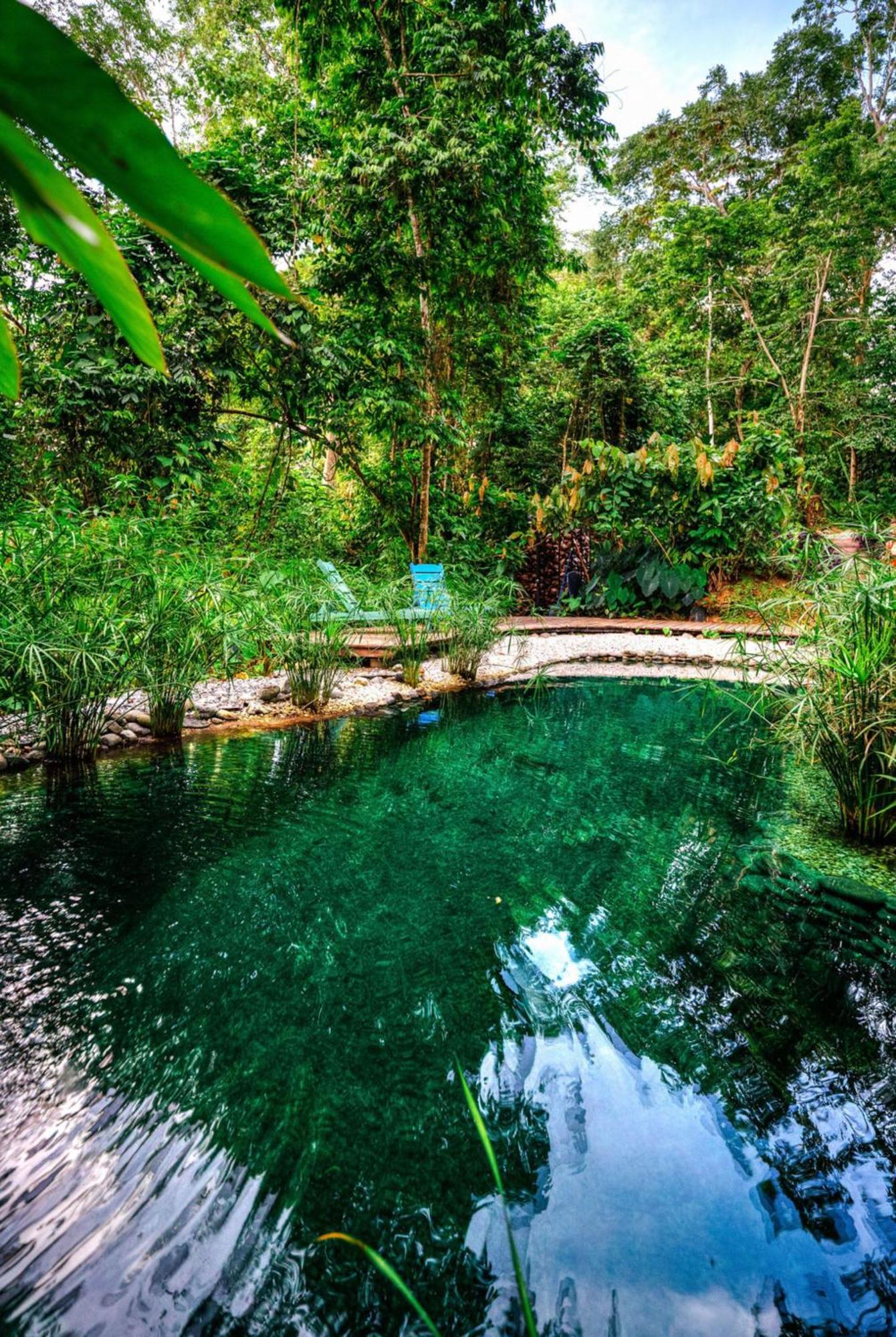 La Shamana - Ecological Concept In Jungle Villa Cahuita Exterior photo