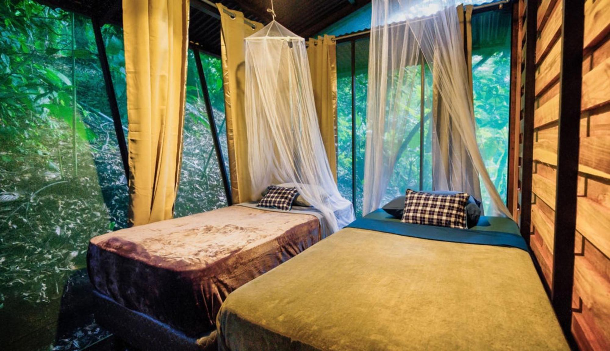 La Shamana - Ecological Concept In Jungle Villa Cahuita Room photo