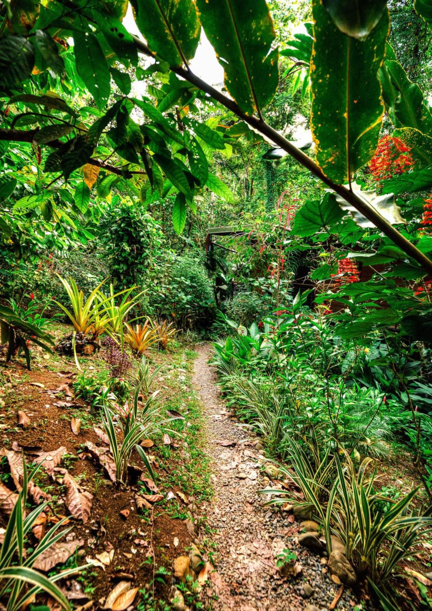 La Shamana - Ecological Concept In Jungle Villa Cahuita Exterior photo