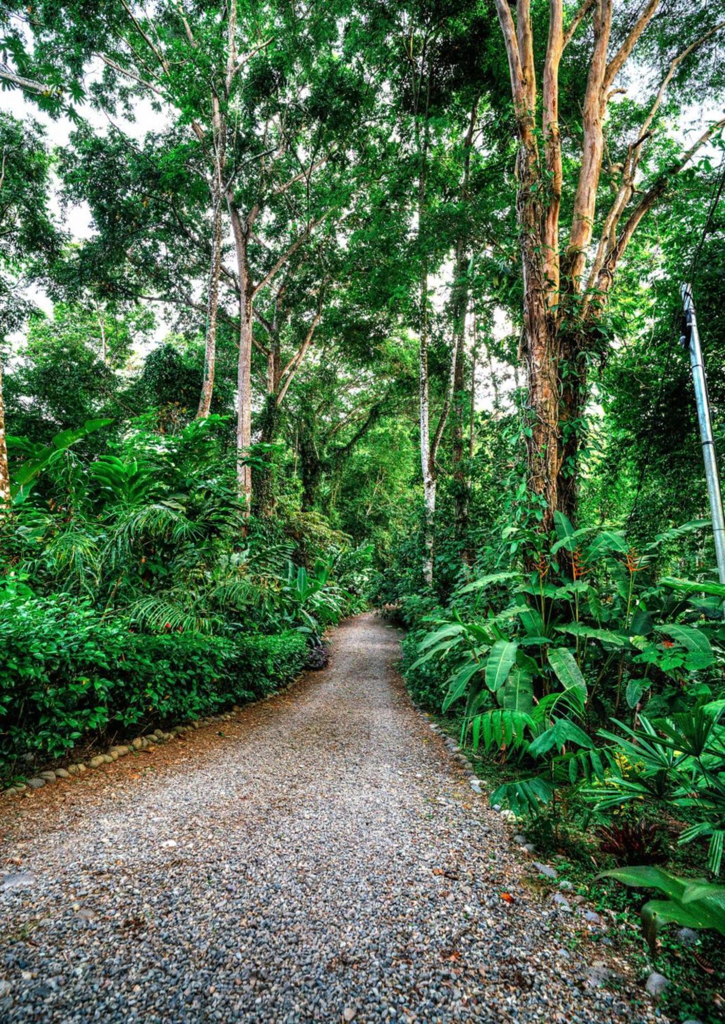 La Shamana - Ecological Concept In Jungle Villa Cahuita Exterior photo